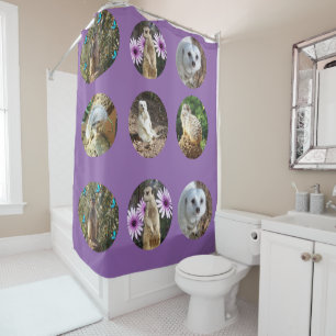 Purple Meerkat Collage, Showers Curtain