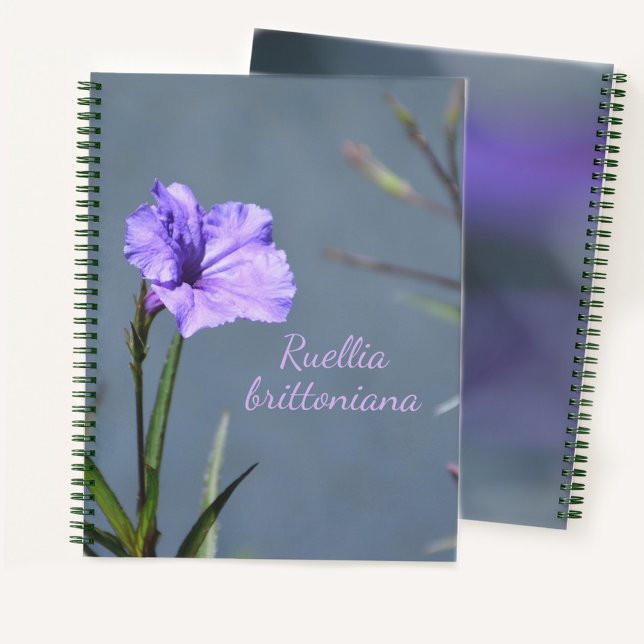 Purple Mexican Petunia Floral Customizable Notebook (Creator Uploaded)