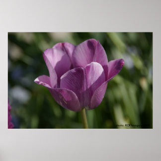 Purple moment poster