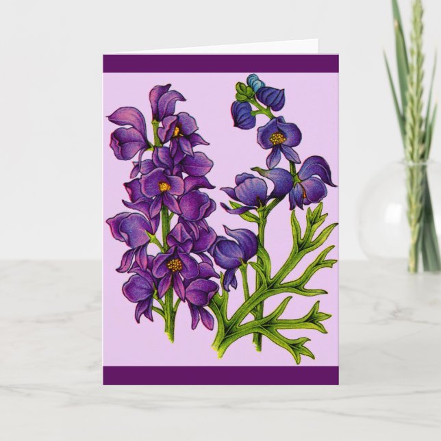 purple monkshoods flowers print card (Front)