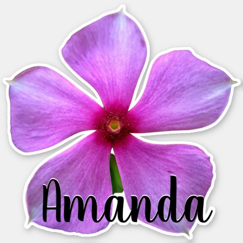 Purple Monogram Name Flower Nature Plant Cute Sticker