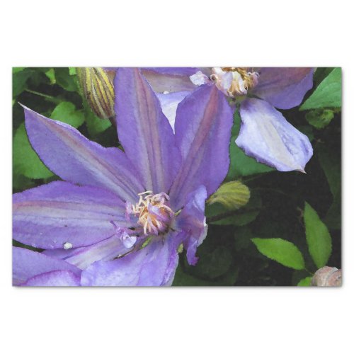 Purple Morning Glory Flower Decoupage Tissue Paper