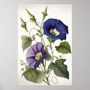 Purple Morning Glory Flowers Art Print Poster
