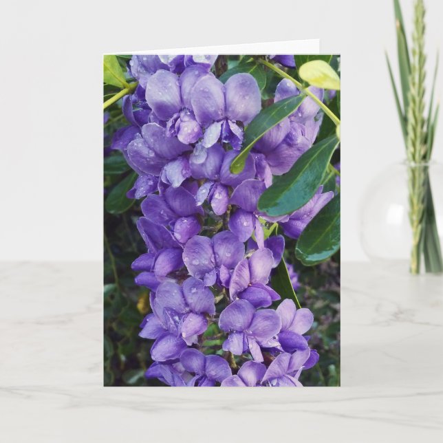 Purple Mountain Laurel Card (Front)