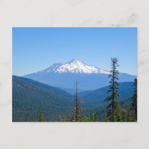 Purple Mountain Majesty Mount Shasta CA Postcard