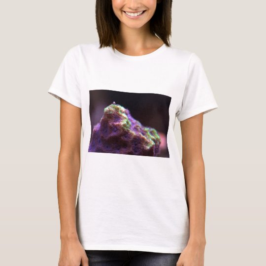 Purple Mountains MajestSea T-Shirt