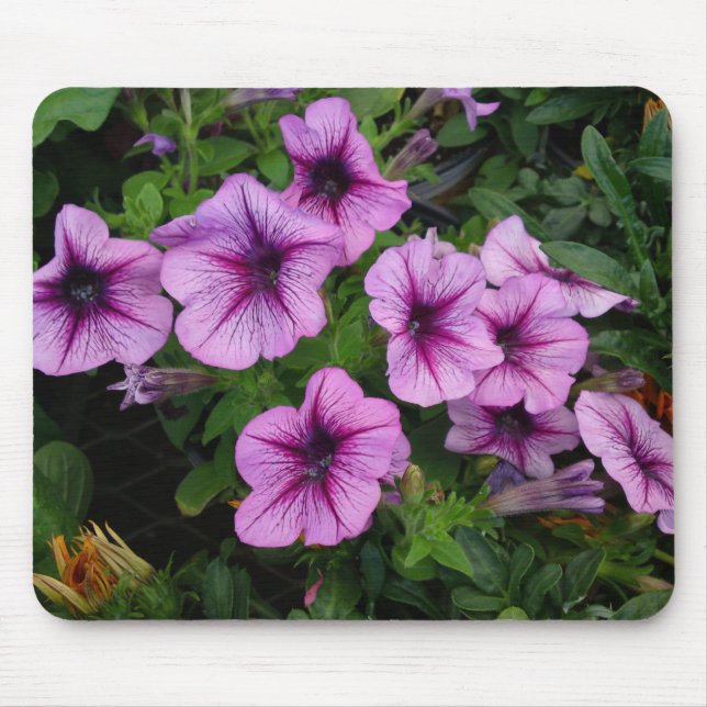 Purple Mum Flower Mouse Pad (Front)