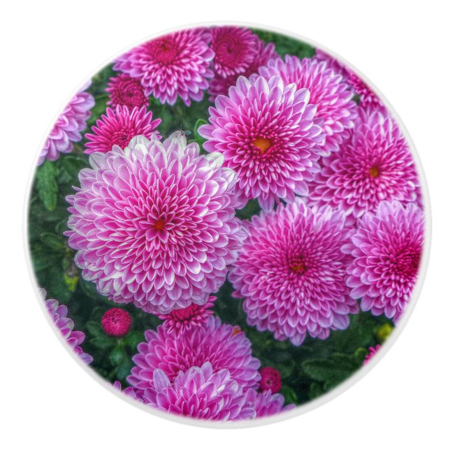 Purple Mums Ceramic Knob (Front)