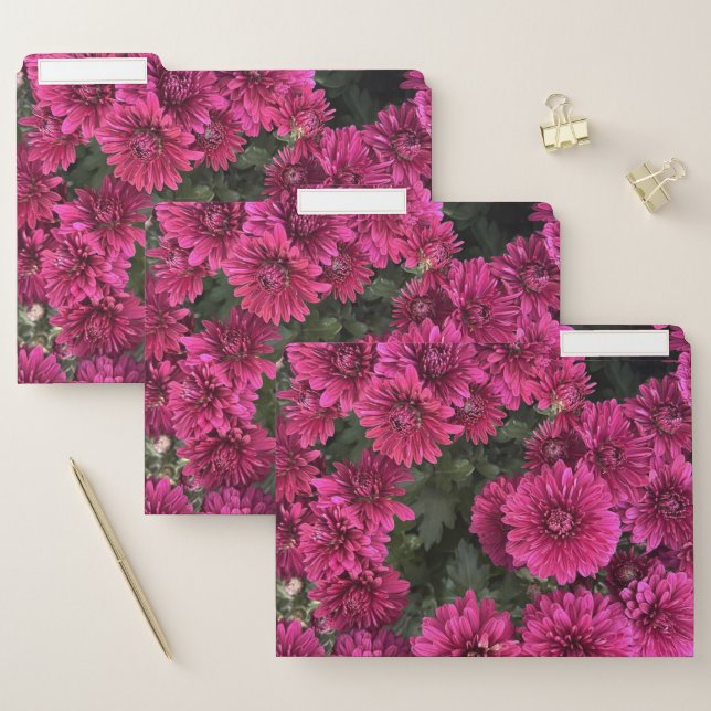 Purple Mums File Folders (Set)