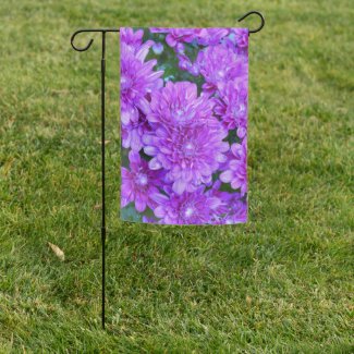 Purple garden and outdoor - Purple Mums Garden Flag