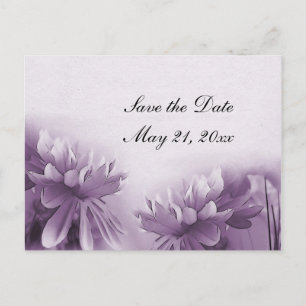 Purple Mums Postcard - Save the Date