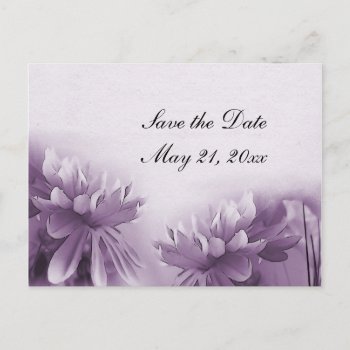 Purple Mums Postcard - Save The Date by AJsGraphics at Zazzle