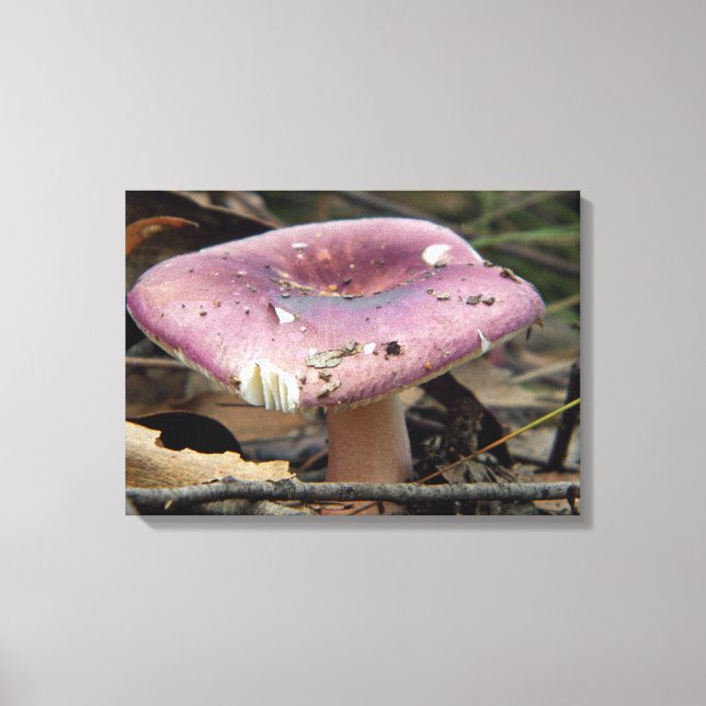 Purple Mushroom Wrapped Canvas Print (Front)