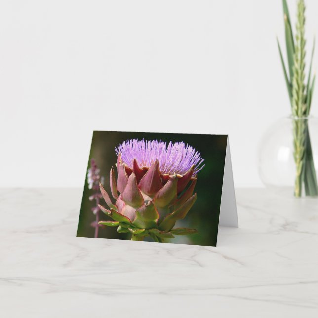 "PURPLE MUSK THISTLE"/PHOTOG. NOTECARD (Front)