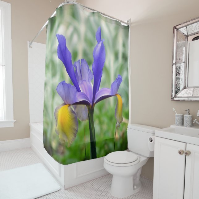 Purple N Gold Iris II Shower Curtain (In Situ)