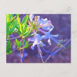 Purple Neon Postcard