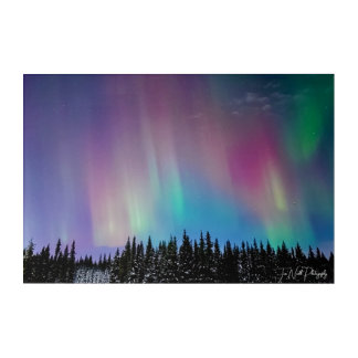 purple northern lights acrylic print