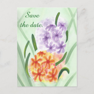 Purple Orange Hyacinth Flowers Save Date Postcards