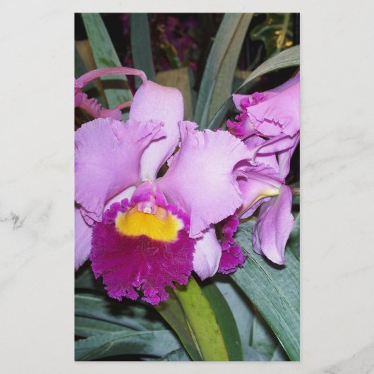 Purple Orchid (Front)
