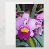 Purple Orchid (Front/Back)