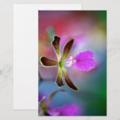 Purple Orchid (Front/Back)