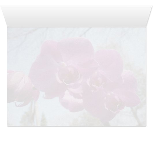 Purple Orchid (Inside Horizontal (Bottom))