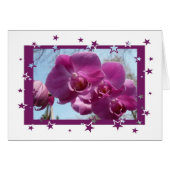 Purple Orchid (Front Horizontal)