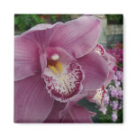 Purple Orchid and Garden Colorful Botanical Magnet