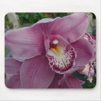 Purple Orchid and Garden Colorful Botanical Mouse Pad