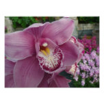 Purple Orchid and Garden Colorful Botanical Photo Print