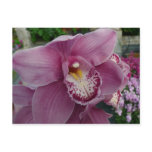 Purple Orchid and Garden Colorful Botanical Postcard
