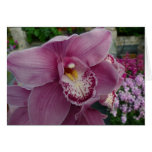 Purple Orchid and Garden Colorful Floral