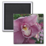 Purple Orchid and Garden Colorful Floral Magnet