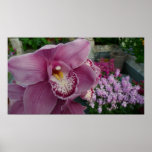 Purple Orchid and Garden Colorful Floral Poster