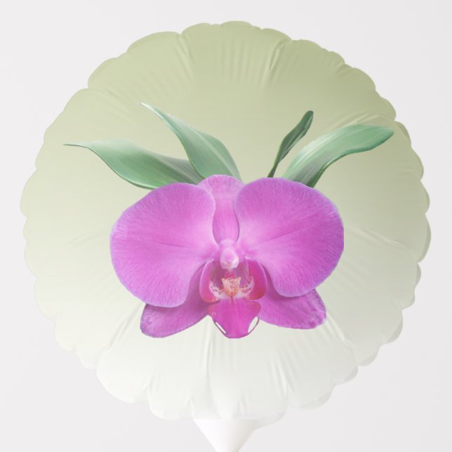 Purple Orchid Balloon (Front)