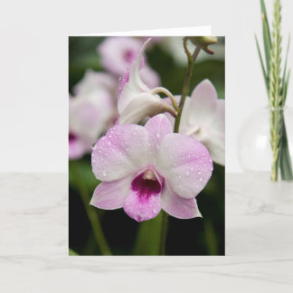 Purple Orchid Blank Card