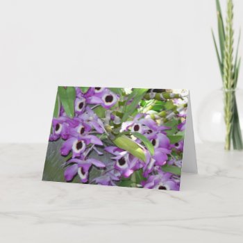Purple Orchid Blank Greeting Card by SPKCreative at Zazzle