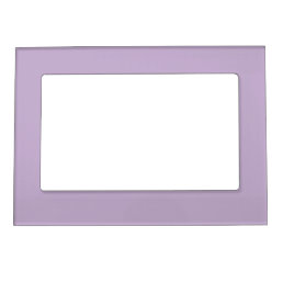 Purple Orchid Bloom Solid Color Print Magnetic Frame