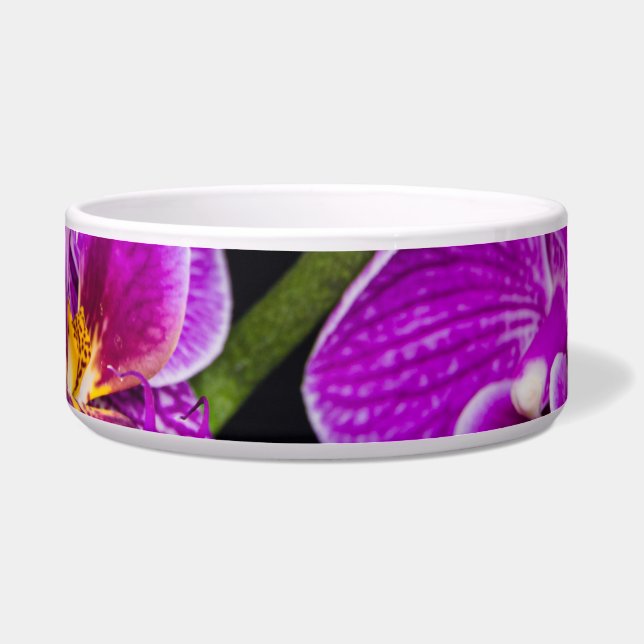 Purple orchid bowl (Front)