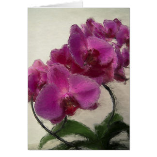 Purple Orchid Cards