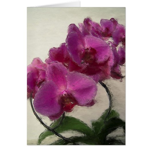 Purple Orchid Cards (Front)