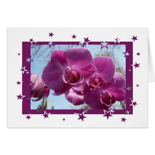 Purple Orchid Cards (Front Horizontal)