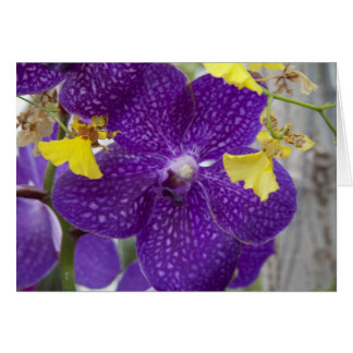 Purple Orchid Cards
