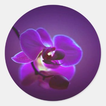 Purple Orchid Classic Round Sticker by Iggys_World at Zazzle