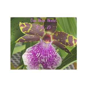 Purple Orchid Close Up Photo   Elegant Nature Metal Print