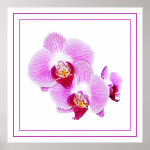Purple Orchid Closeup Floral Photography Poster