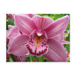Purple Orchid Elegant Floral Botanical Postcard
