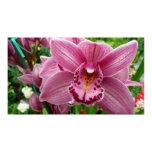 Purple Orchid Elegant Floral Botanical Poster