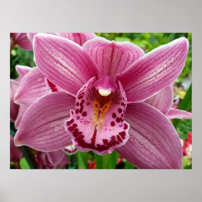 Purple Orchid Elegant Floral Botanical Poster (Front)