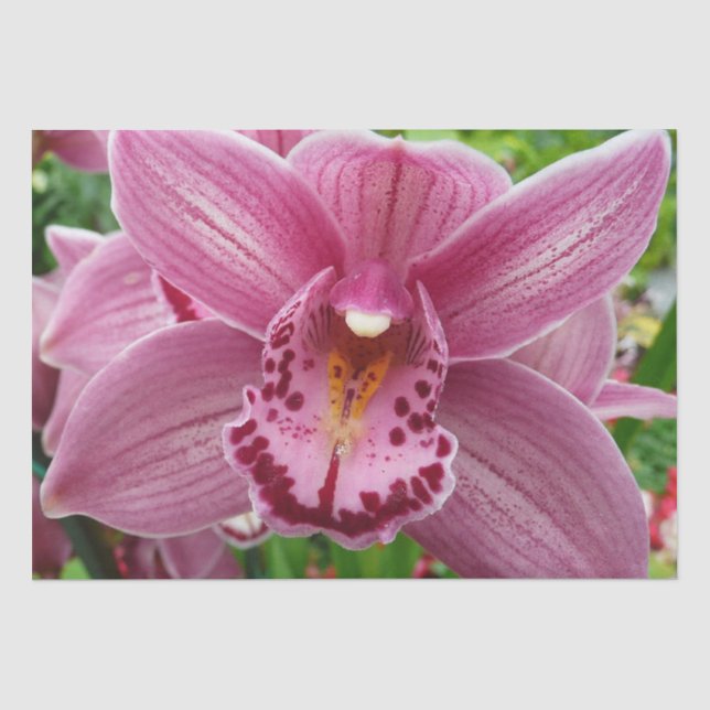 Purple Orchid Elegant Floral Botanical Tissue Paper (Front)